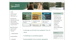 Desktop Screenshot of dsn.dk